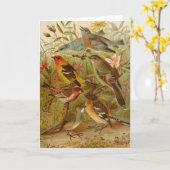 Nordamerikanische Vögel | Gustav Mü tzel Karte (Gelbe Blume)