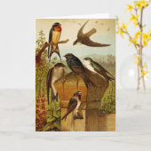 Nordamerikanische Vögel | Gustav Mü tzel Karte (Gelbe Blume)