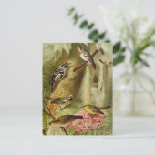 Nordamerikanische Vögel | Gustav Mü tzel Postcard Postkarte (Stehend Vorderseite)