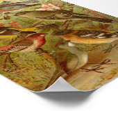 Nordamerikanische Vögel | Gustav Mü tzel Poster (Ecke)