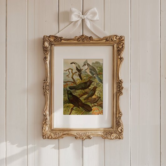 Nordamerikanische Vögel | Gustav Mü tzel Poster