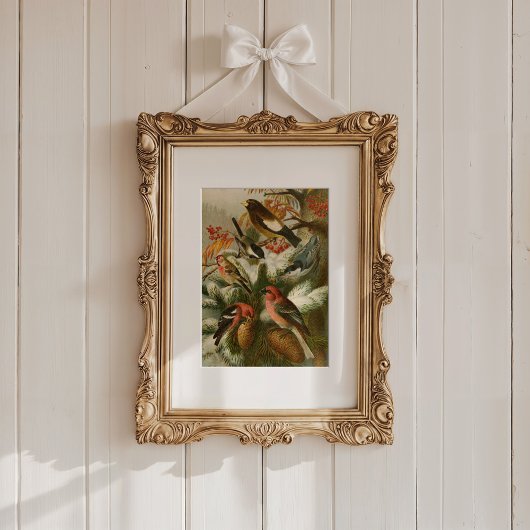 Nordamerikanische Vögel | Gustav Mü tzel Poster