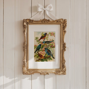 Nordamerikanische Vögel   Gustav Mü tzel Poster