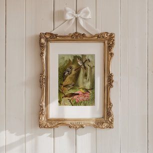 Nordamerikanische Vögel   Gustav Mü tzel Poster