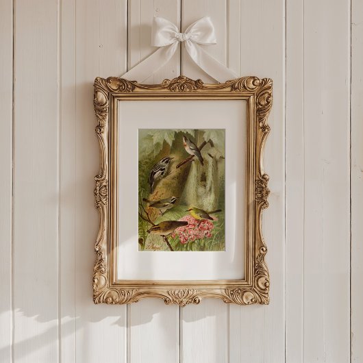 Nordamerikanische Vögel | Gustav Mü tzel Poster