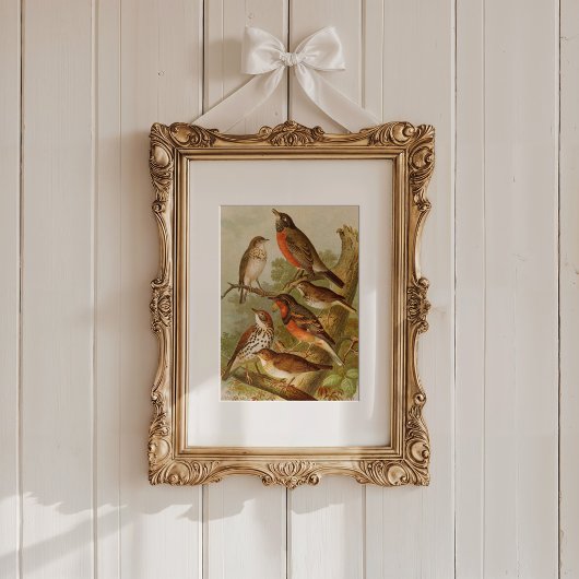 Nordamerikanische Vögel | Gustav Mü tzel Poster