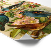 Nordamerikanische Vögel | Gustav Mü tzel Poster (Ecke)