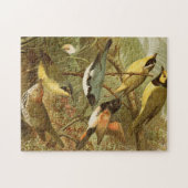 Nordamerikanische Vögel | Gustav Mü tzel Puzzle (Horizontal)