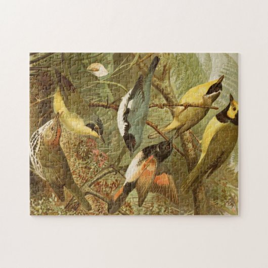 Nordamerikanische Vögel | Gustav Mü tzel Puzzle (Horizontal)