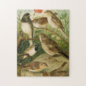 Nordamerikanische Vögel | Gustav Mü tzel Puzzle (Vertikal)