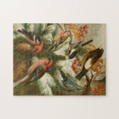 Nordamerikanische Vögel | Gustav Mü tzel Puzzle (Horizontal)