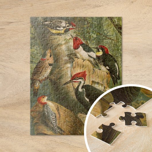 Nordamerikanische Vögel | Gustav Mü tzel Puzzle
