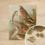 Nordamerikanische Vögel | Gustav Mü tzel Puzzle<br><div class="desc">Eine Illustration des deutschen Künstlers Gustav Mü tzel aus dem 1891 erschienenen Buch Nordamerikanische Vogelwelt (Die Welt der nordamerikanischen Vögel). Das Buch beschreibt jede der nordamerikanischen Vögel, auf die Heinrich Nehrling gestoßen war oder über die er gelesen hatte. Der Band wird von Prof. Robert Ridgway von der Smithsonian Institution and...</div>