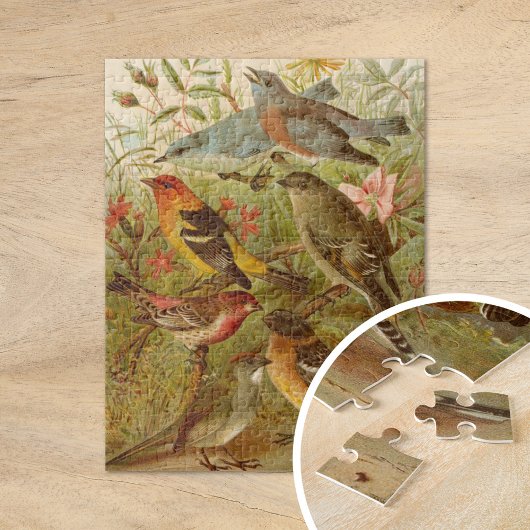 Nordamerikanische Vögel | Gustav Mü tzel Puzzle
