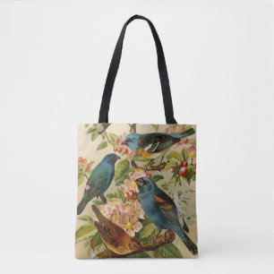 Nordamerikanische Vögel Gustav Mü tzel Tasche