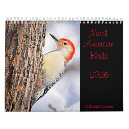 Nordamerikanische Vögel - Kalender 2026