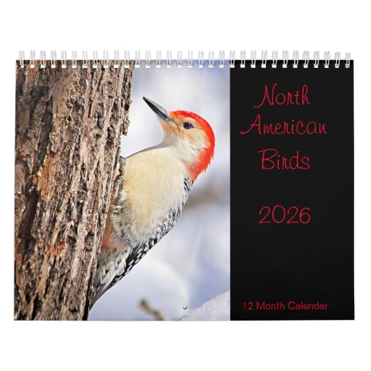 Nordamerikanische Vögel - Kalender 2026 (Titelbild)