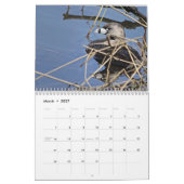 Nordamerikanische Vögel - Kalender 2026 (Mär 2027)