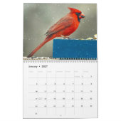 Nordamerikanische Vögel - Kalender 2026 (Jan 2027)