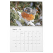 Nordamerikanische Vögel - Kalender 2026 (Feb 2027)