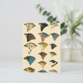 Nordamerikanische Vögel Postkarte (Stehend Vorderseite)