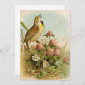 Nordamerikanische Vögel | Robert Ridgway (Vorne/Hinten)