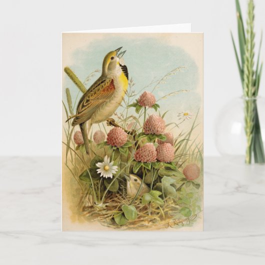 Nordamerikanische Vögel | Robert Ridgway Karte (Vorderseite)