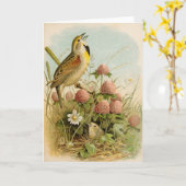 Nordamerikanische Vögel | Robert Ridgway Karte (Gelbe Blume)