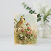 Nordamerikanische Vögel | Robert Ridgway Postkarte (Stehend Vorderseite)