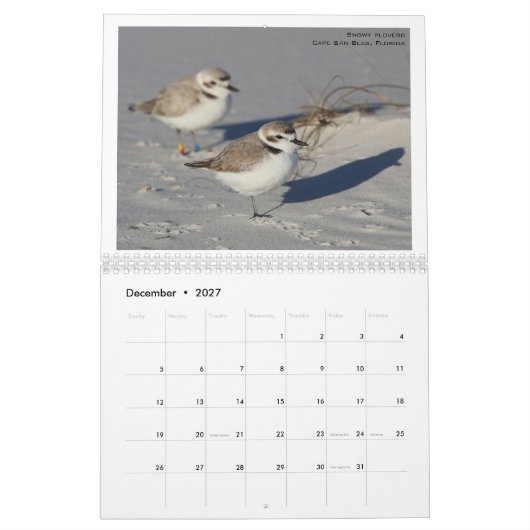 Nordamerikanische Vögel von Emily Willoughby Kalender (Dez 2027)