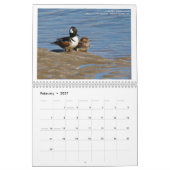 Nordamerikanische Vögel von Emily Willoughby Kalender (Feb 2027)