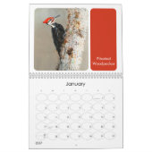 Nordamerikanische Vogelmalerei Backyard Vogelbeoba Kalender (Jan 2027)