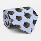 Nordamerikanische Wachteln Krawatte (Gerollt)