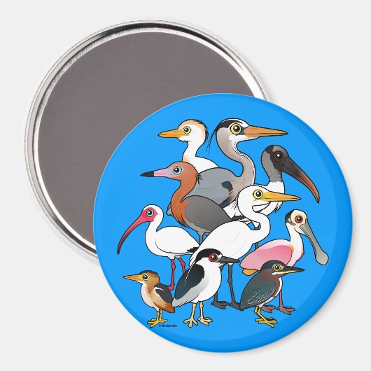 Nordamerikanische Waders Magnet (Vorderseite/Rückseite)