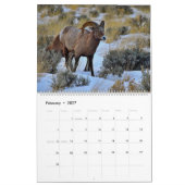 Nordamerikanische Wildfauna Kalender (Feb 2027)