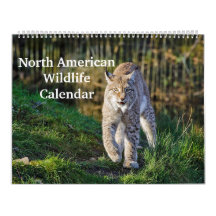 Nordamerikanische Wildfauna