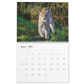 Nordamerikanische Wildfauna Kalender (Mär 2027)