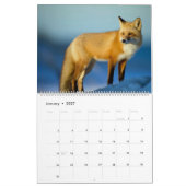 Nordamerikanische Wildfauna Kalender (Jan 2027)