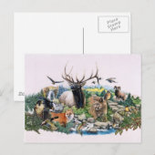Nordamerikanische Wildfauna Postkarte (Vorne/Hinten)