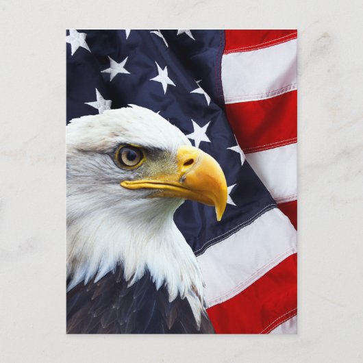 Nordamerikanischer Adler unter amerikanischer Flag Postkarte (Vorderseite)