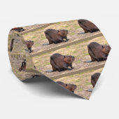 Nordamerikanischer Biber am Boden Krawatte (Gerollt)