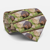 Nordamerikanischer Biber schließen Krawatte (Gerollt)