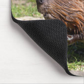 Nordamerikanischer Biber schließen Mousepad (Ecke)