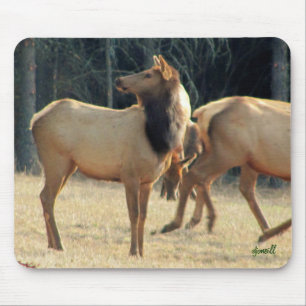 Nordamerikanischer Elch Mousepad
