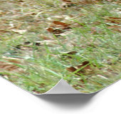 Nordamerikanischer Elch Poster (Ecke)