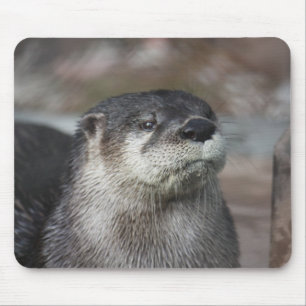 Nordamerikanischer Fluss-Otter Mousepad