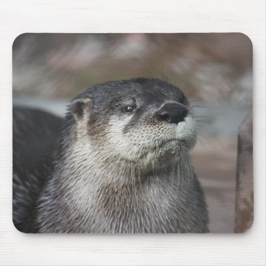 Nordamerikanischer Fluss-Otter Mousepad (Vorne)