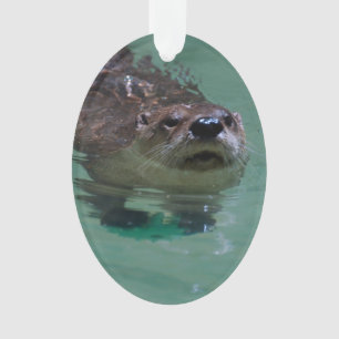 Nordamerikanischer Fluss-Otter Ornament
