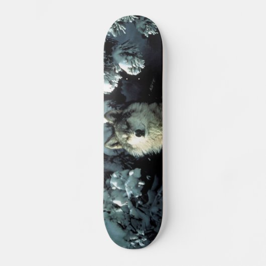Nordamerikanischer Holzwolf im Schnee Skateboard (Vorderseite)