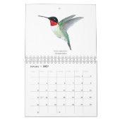 Nordamerikanischer Hummingbirds Calendar Kalender (Jan 2027)